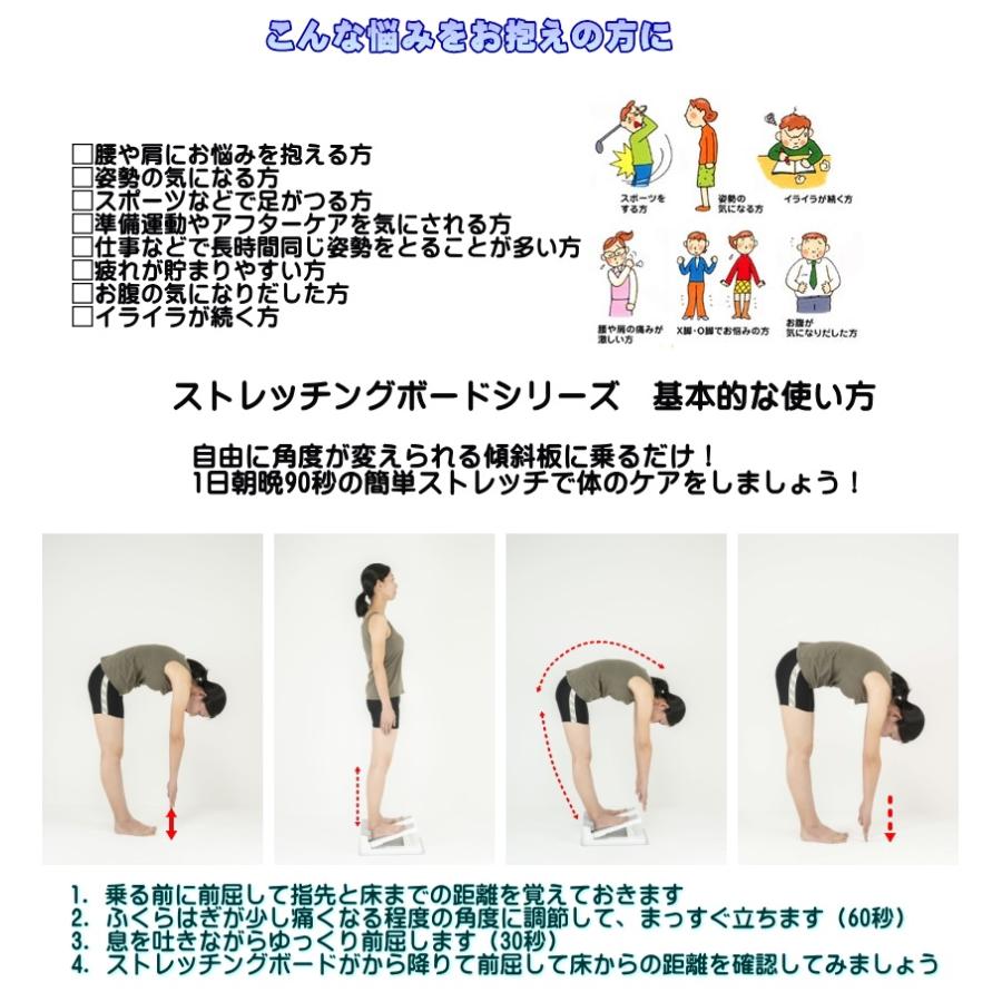 アサヒ ストレッチングボード(STRETCHING BOARD) EV Ver.2 正規品