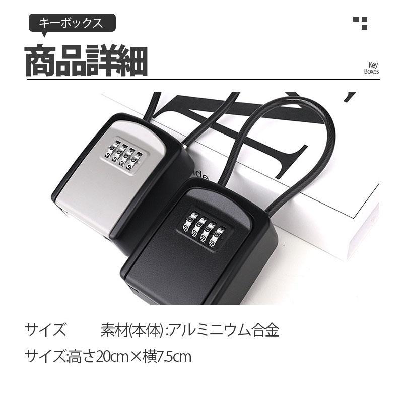 キーボックス 壁掛け 屋外 ワイヤー式 【2点購入で10％OFF】 大容量 鍵