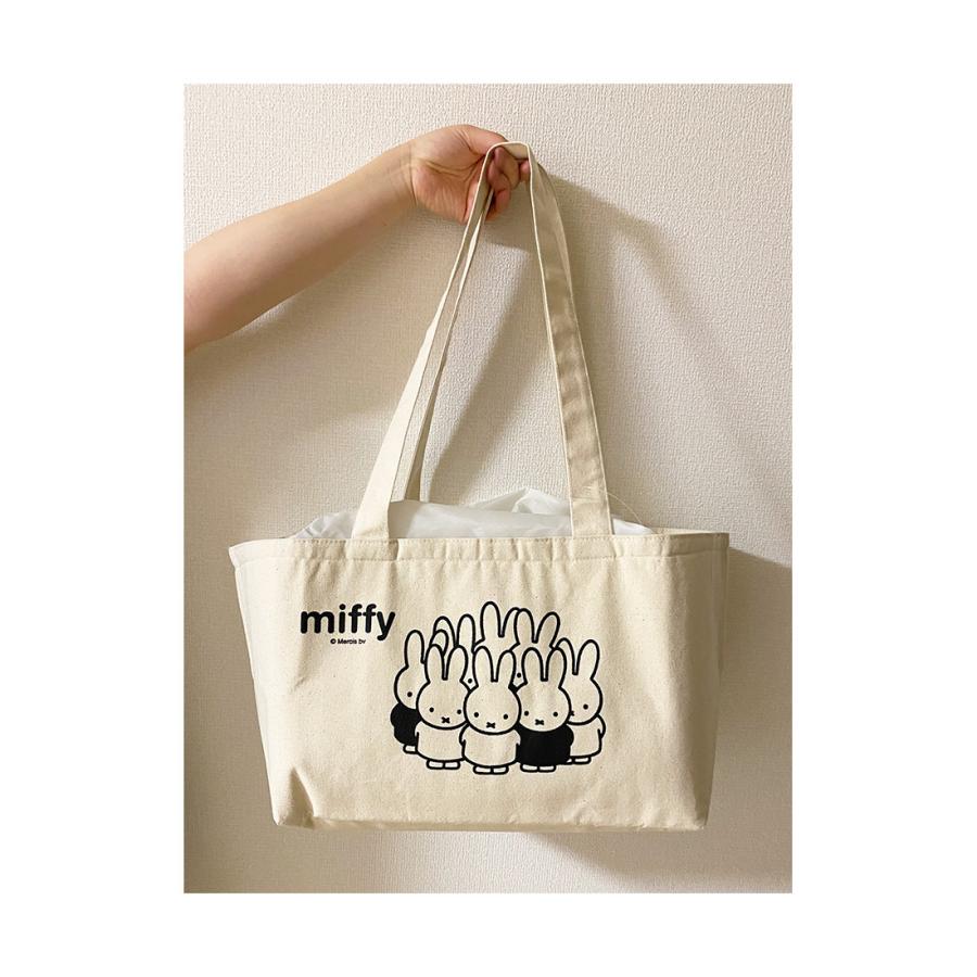 Miffy（ミッフィー） レジカゴバッグ エコバッグ 保温 保冷 フェイス