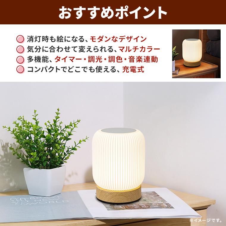 DENKO HOME（電光ホーム） ナイトライト ベッドサイドランプ マルチ