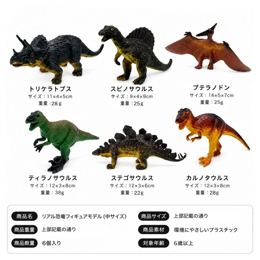 リアル 恐竜 フィギュア 6種類セット 中サイズ 模型 コレクション
