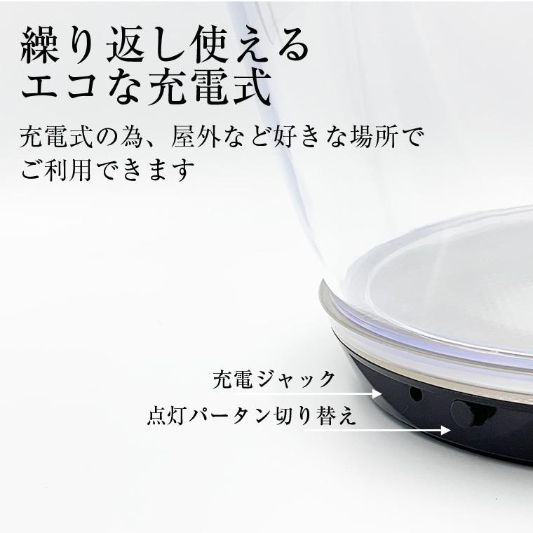 光る ワインクーラー 楕円形 幅41cm×奥行28cm×高さ28.5cm マルチカラー