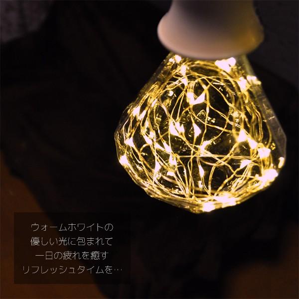 DENKO HOME（電光ホーム） エジソン電球 LED E26 1.7W led全2色 幅95mm