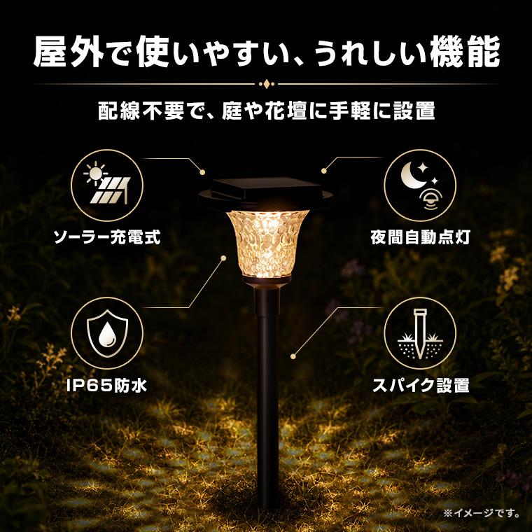 DENKO HOME（電光ホーム） ソーラーライト 屋外 ガーデンライト ガラス