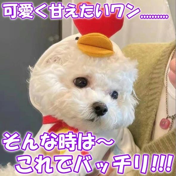 ペット服 犬服 ニワトリさん コスプレ 変装 鳥 秋 冬 犬 猫 小型犬 コスチューム フレンチブルドッグ 仮装 変装 クリスマスプレゼント Niwaton いろいろ雑貨 通販 Yahoo ショッピング