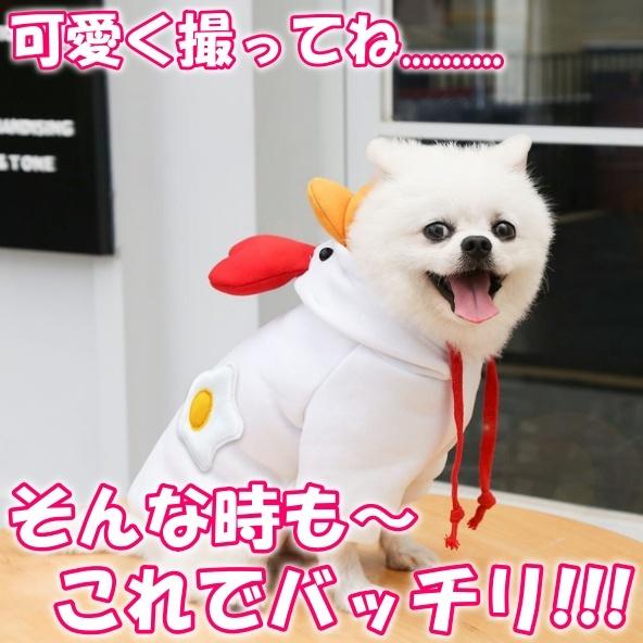 ペット服 犬服 ニワトリさん コスプレ 変装 鳥 秋 冬 犬 猫 小型犬 コスチューム フレンチブルドッグ 仮装 変装 クリスマスプレゼント Niwaton いろいろ雑貨 通販 Yahoo ショッピング