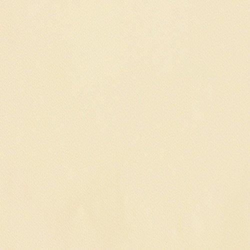 リリカラ 壁紙40m シンフ ル 無地 ベージュ Morris Co Licensed Collection Lw 2571 A Bkv2l バリオス東海1号店 通販 Yahoo ショッピング