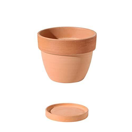 景徳焼 植木鉢 鉢 素焼き おしゃれ 陶器 プランター 受け皿 底穴 大きい 陶器鉢 鉢植え 北欧 インテリア 部屋 オフィス 室内 飾り 6wgiqjhu6z Www 4dgelateria Com Br