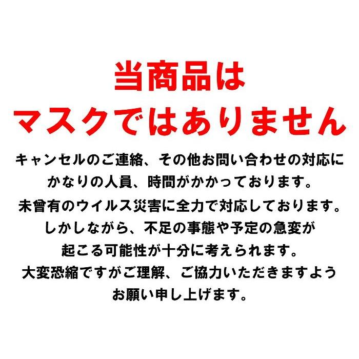 【日本製 高品質】 マスク フィルター インナー シート 国産 50枚 医療用 2層繊維 ウイルス対策 花粉対策 不織布 |  | 04