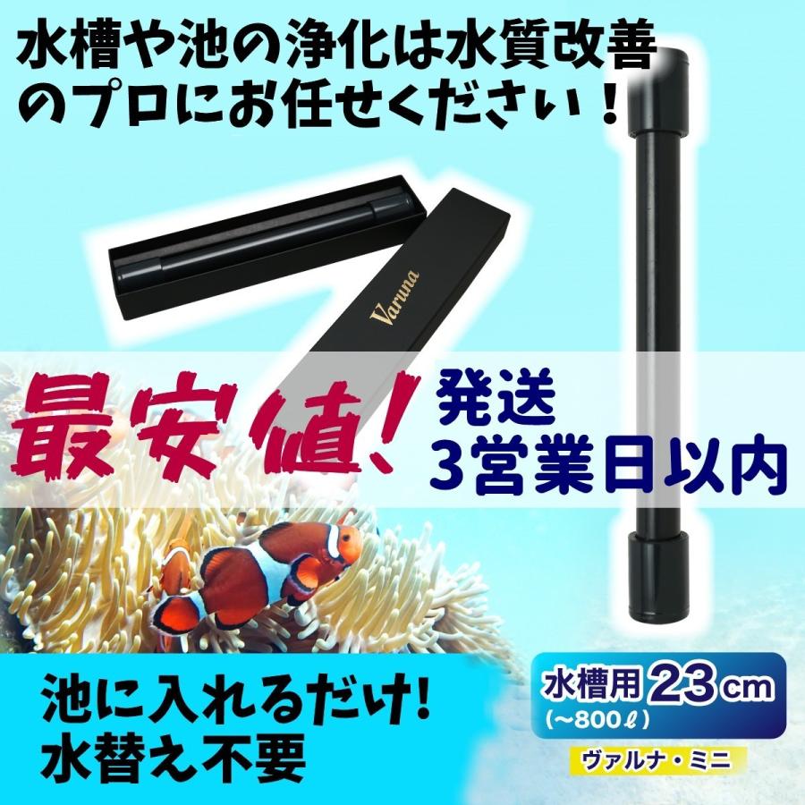 ヴァルナ ミニ水槽用23ｃｍ 最安値 短納期 正規店 水質改善 3年間水替えなしで水槽浄化 入れるだけ アクアリウム 熱帯魚 Varna23 水質浄化専門店 ヴァルナショップ 通販 Yahoo ショッピング