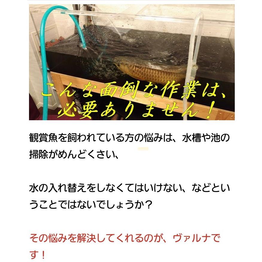 ヴァルナ・ミニ水槽用23cm 【最安値/短納期/正規店】水質改善 3年間