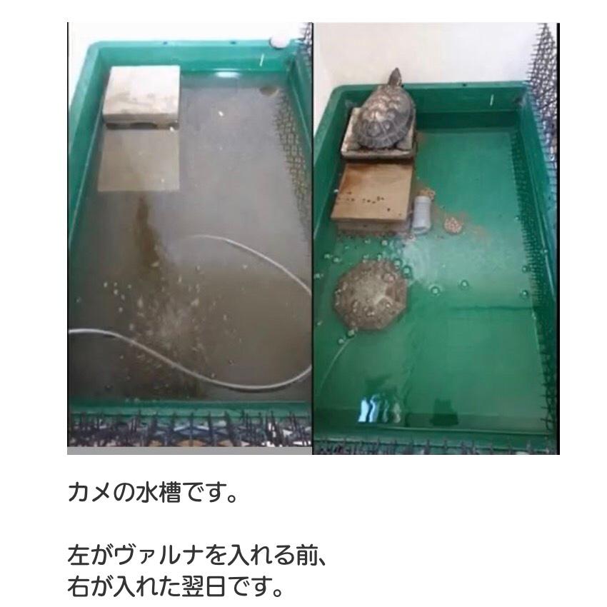 ヴァルナ・ミニ水槽用23cm 【最安値/短納期/正規店】水質改善 3年間