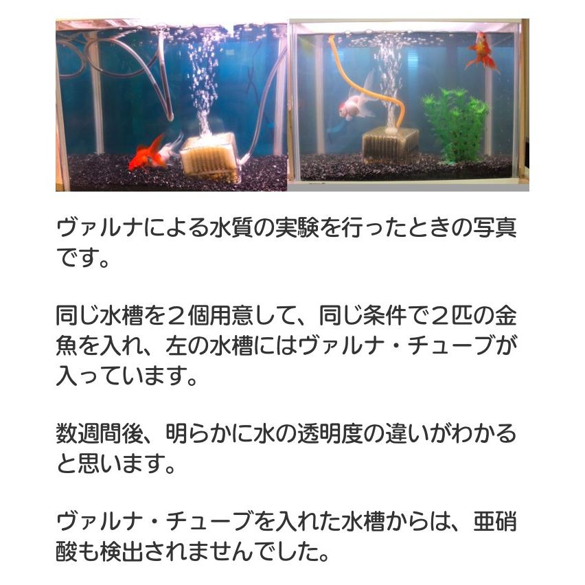 ヴァルナ・ミニ水槽用23cm 【最安値/短納期/正規店】水質改善 3年間