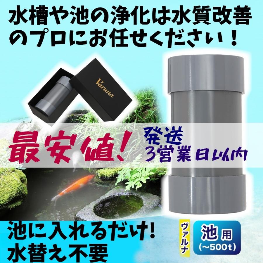 ヴァルナ池用500t 【最安値/短納期/正規店】水質改善 3年間水 ヴァルナ池用500t 【最安値/短納期/正規店】水質改善 3年間水