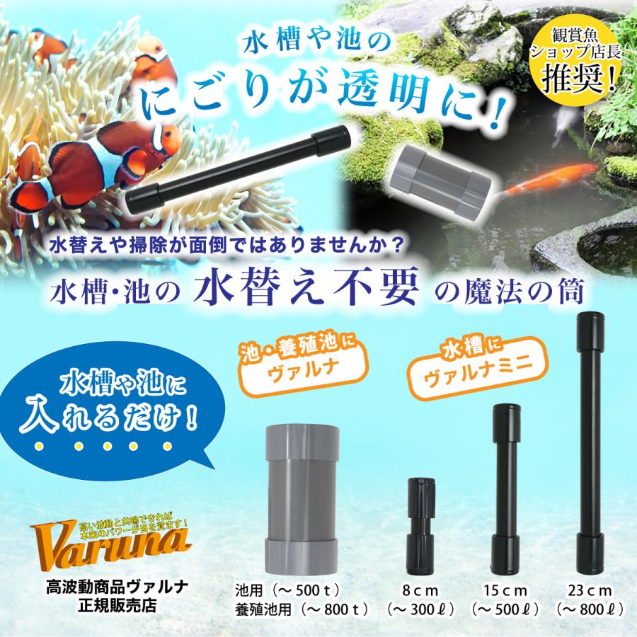 ヴァルナ養殖池用800t 【最安値/短納期/正規店】水質改善 3年間水替えなしで水槽浄化 入れるだけ アクアリウム 熱帯魚の画像