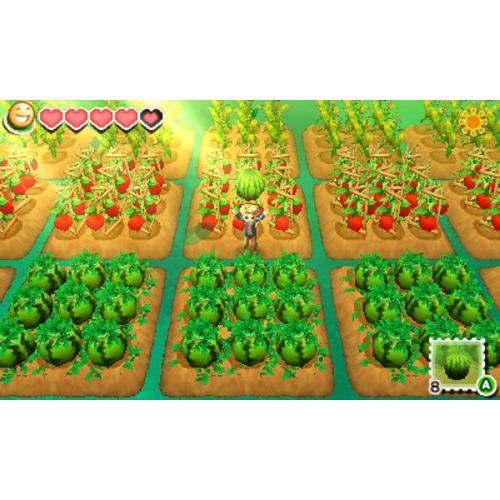 牧場物語 つながる新天地 - 3DS｜vastforest｜02