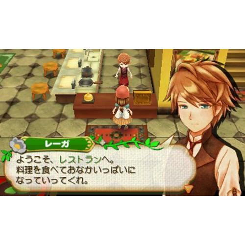牧場物語 つながる新天地 - 3DS｜vastforest｜10