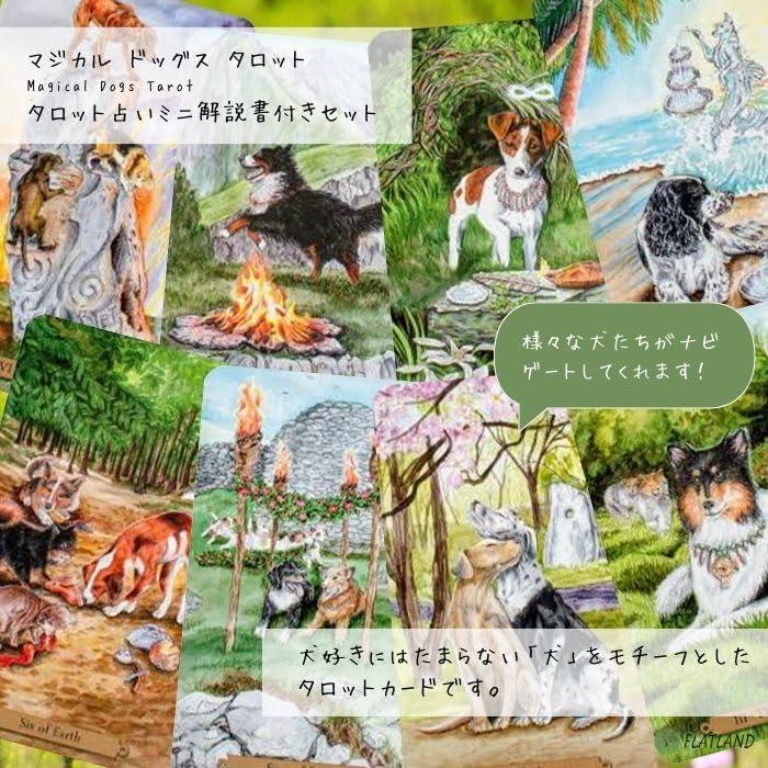 マジカル ドッグス タロット 特製ボックス入り タロット占い解説書付き 249 マジカル ドッグス タロット【特製ボックス入り】【タロット占い