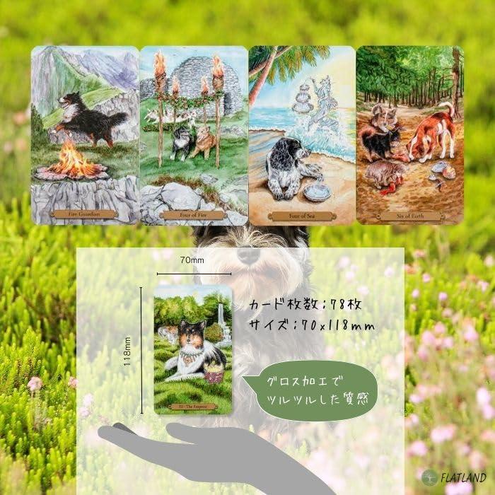 マジカル ドッグス タロット【特製ボックス入り】【タロット占い