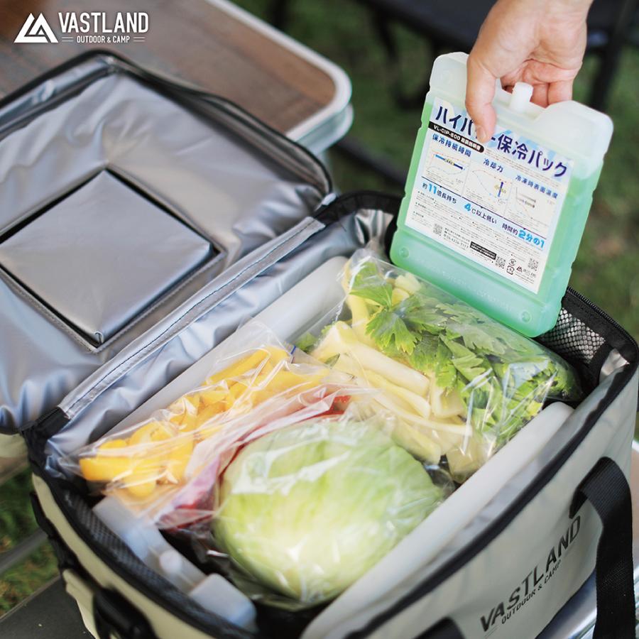 VASTLAND 保冷剤 ハイパワー保冷パック 500g 長時間保冷モデル 爆買 | VASTLAND | 01