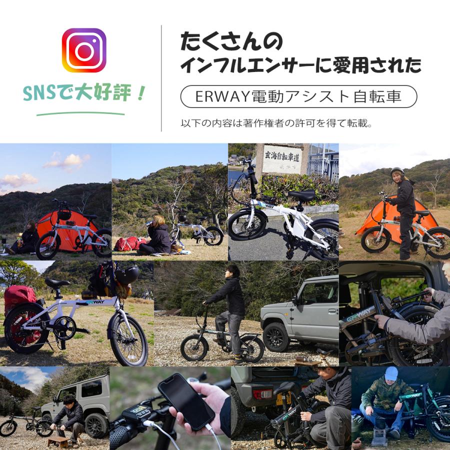 電動自転車 折りたたみ 電動アシスト自転車 erway パワフル 5