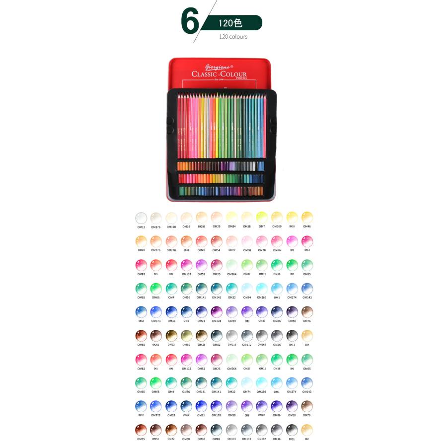 色鉛筆 12色セット 油性 人間工学 高級 12色 セット 缶入色鉛筆