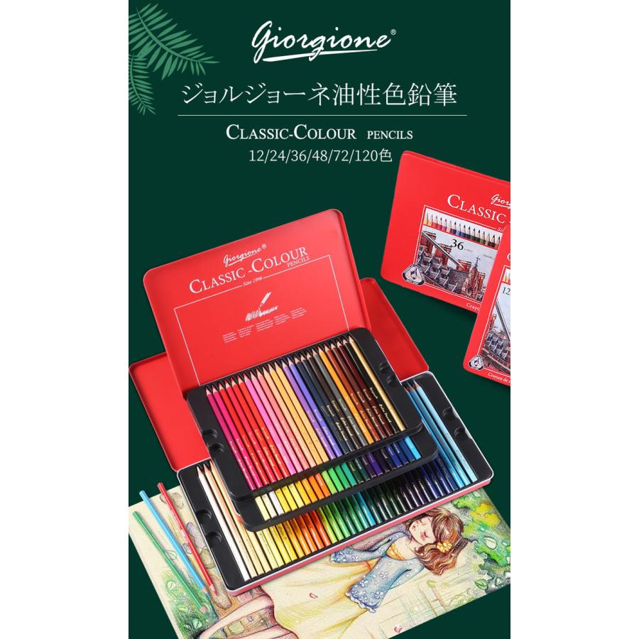 色鉛筆 12色セット 油性 人間工学 高級 12色 セット 缶入色鉛筆