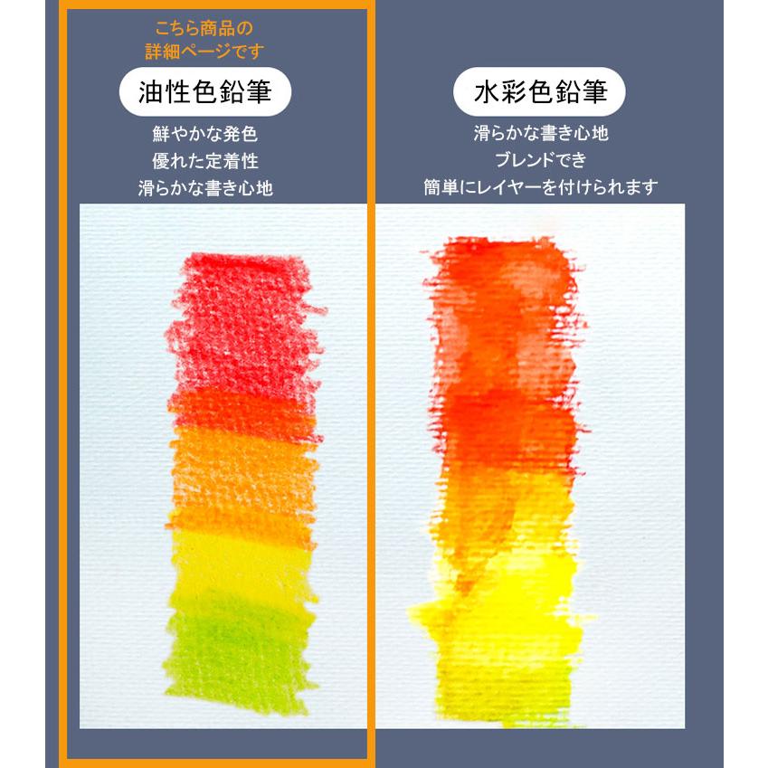 Pericia 油性色鉛筆 24色セット　美品 色鉛筆 24色 セット 油性 スケッチ 画材 大人 子供 こども 夏休み 鉛筆
