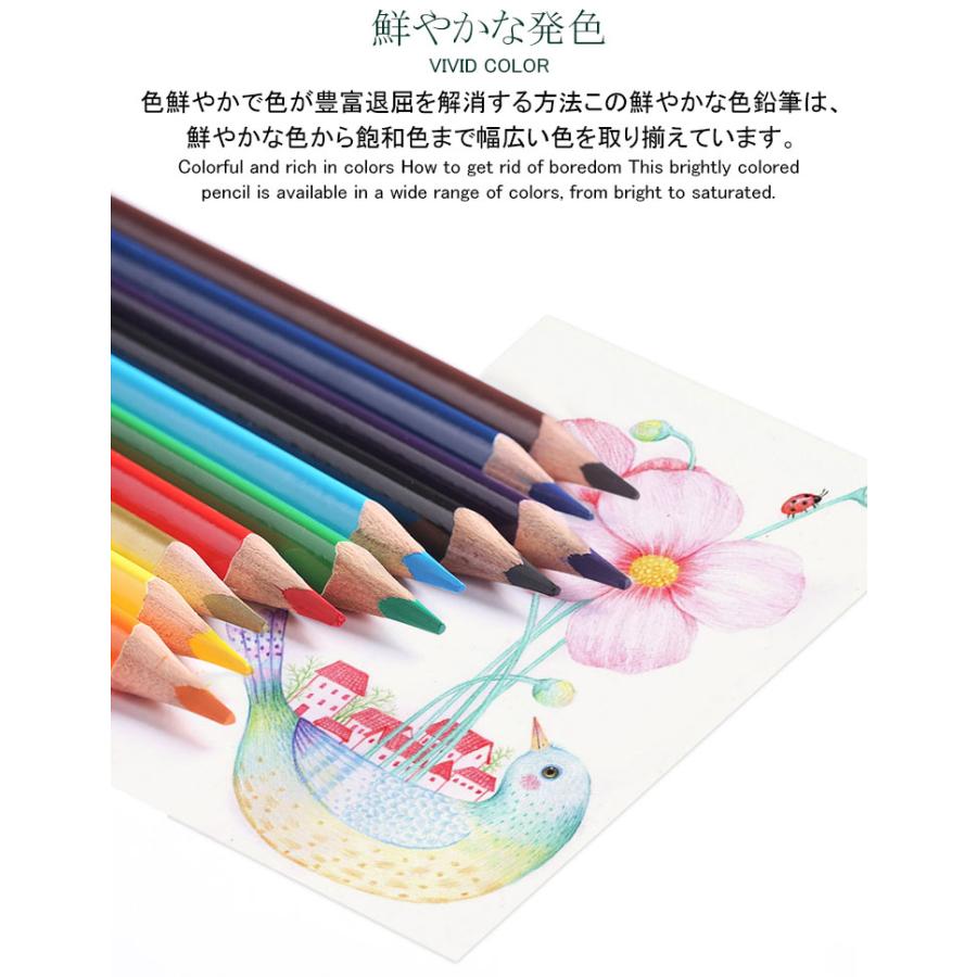 色鉛筆 48色セット 油性 人間工学 高級 48色 セット 缶入色鉛筆