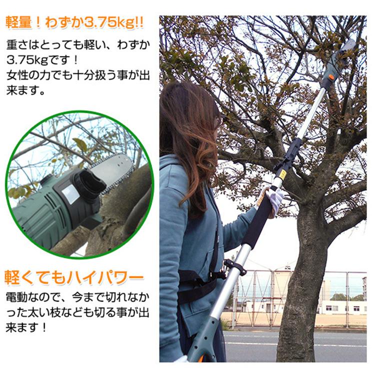 高枝切り電動チェーンソー 10mコード付 高枝 バサミ 電動式