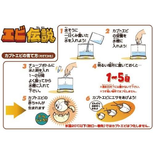 トリオプス飼育観察セット（旧エビ伝説） |  | 01