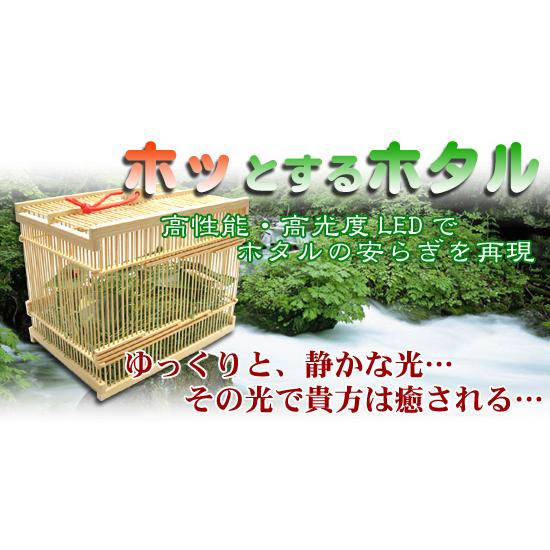 ほっとするホタル竹カゴ大 |  | 02
