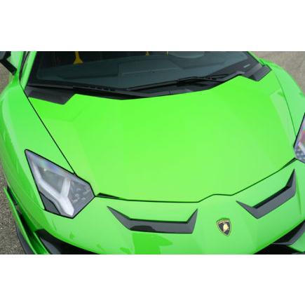 ノビテック ランボルギーニ アヴェンタドール SVJ フロントボンネット