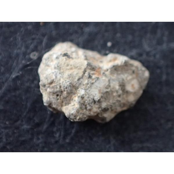 月から飛来してきた隕石(Lunar Meteorite)　発見地　：　北西アフリカ　寸法　：　7.7X5.9X3.0mm/0.85cts　コレクションケース付 （裏面鑑別書有）