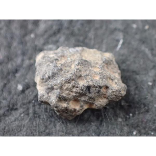 月から飛来してきた隕石(Lunar Meteorite)　発見地　：　北西アフリカ　寸法　：　8.2X6.9X3.5mm/1.20cts　コレクションケース付 （裏面鑑別書有）