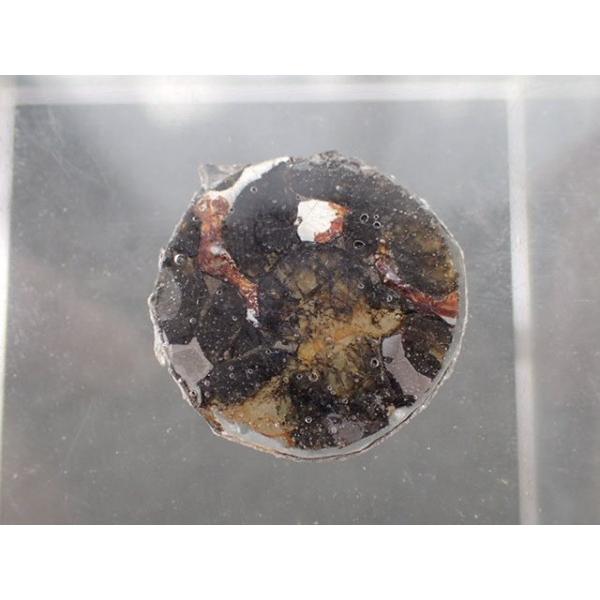 最高品質セリコ隕石(パラサイト(石鉄隕石）　発見地　：　West of Habaawein, Sericho, Kenya 寸法　：　21.1X20.9X1.2mm/1.2g コレクションケース付