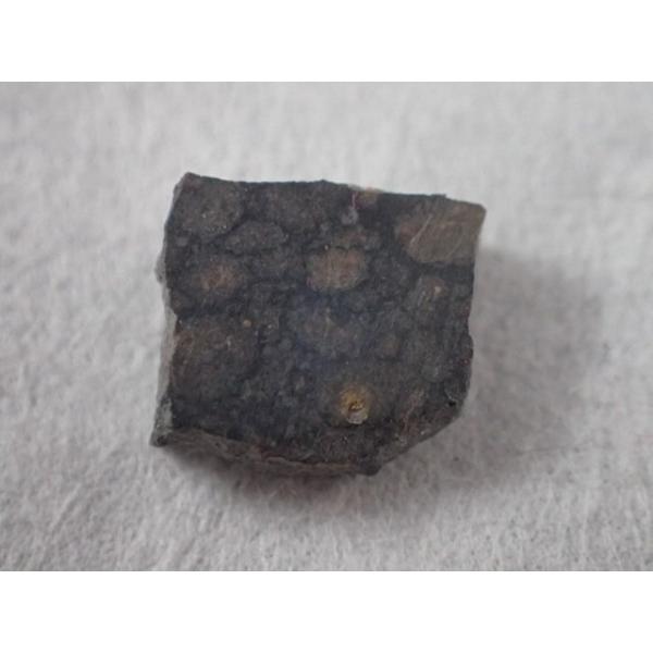 NWA4502炭素質コンドライトCV3　Foud : アルジェリア　寸法　：　10.5X8.5X2.7mm/0.4g　　コレクションケース付