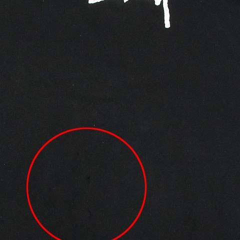 STUSSY（ステューシー） STUSSY SKULL FLOWER スカル フラワー Tシャツ