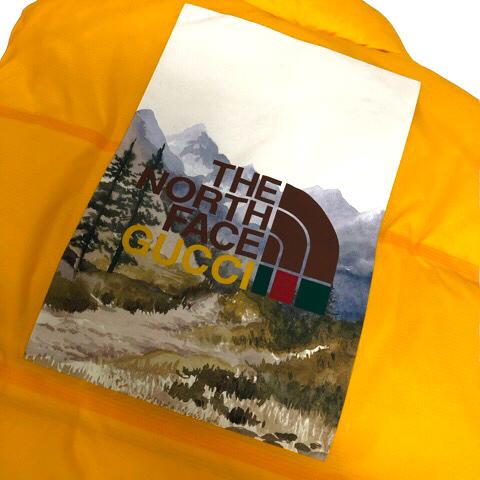 GUCCI（グッチ） 未使用品 ×THE NORTH FACE 663761 キャット ダウン