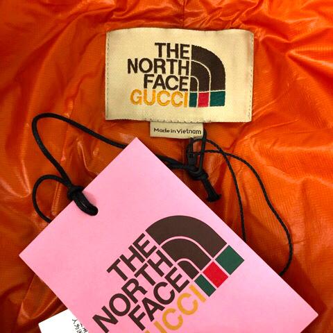 the north face gucci vector