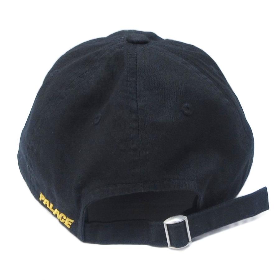 ARC'TERYX（アークテリクス） × パレス スケートボード PALACE