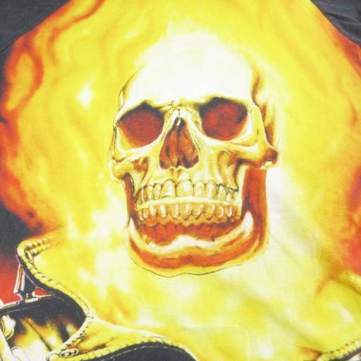 supreme MARVEL コラボ SKULL 19ss ラグラン FIRE Supreme（シュプリーム） × マーベル コラボ 19SS MARVEL Ghost Rider