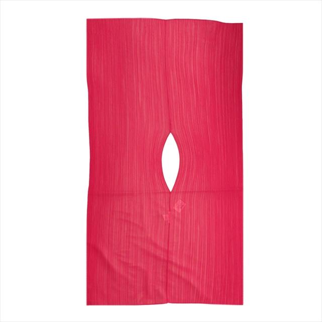 極美品 プリーツプリーズ PLEATS PLEASE マダムT スモール 大判