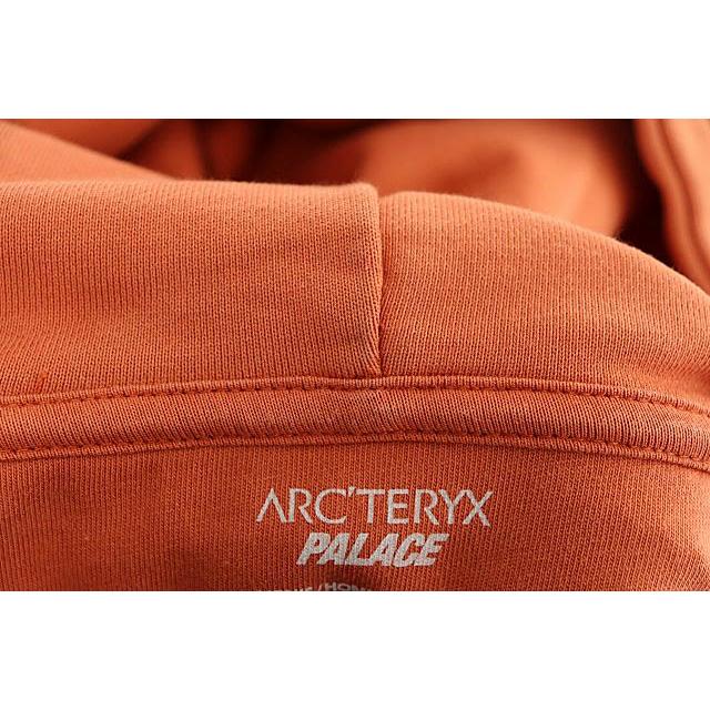 パレス Palace ×Arc'Teryx アークテリクス 20AW Alpha Hood Ochre