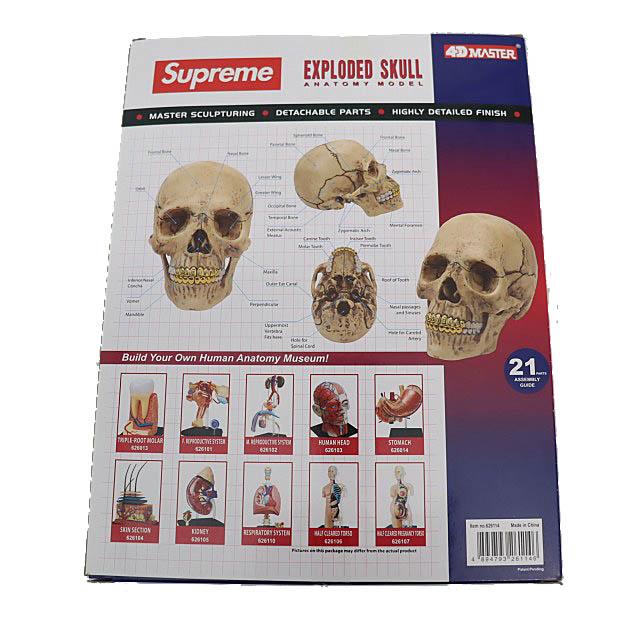 Supreme（シュプリーム） SUPREME 23AW 4D MASTER 4D HUMAN ANATOMY