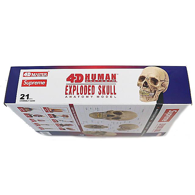 Supreme（シュプリーム） SUPREME 23AW 4D MASTER 4D HUMAN ANATOMY