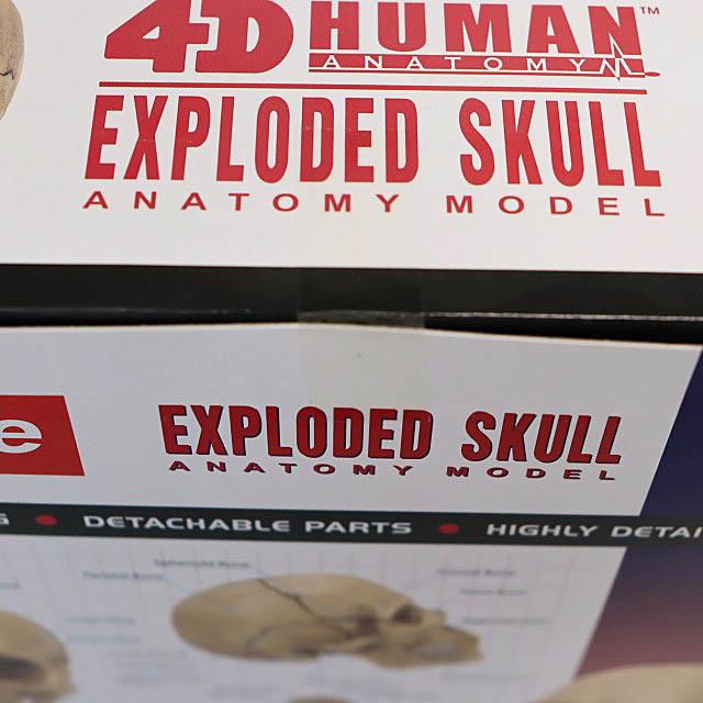 Supreme（シュプリーム） SUPREME 23AW 4D MASTER 4D HUMAN ANATOMY