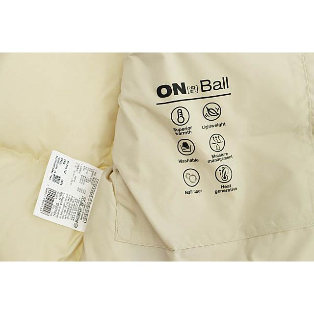 THE NORTH FACE（ザ ノースフェイス） 韓国限定 NUPTSE ON BALL VEST