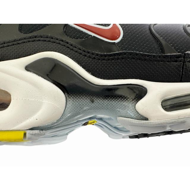 NIKE（ナイキ） NIKE AIR MAX PLUS Black Blue Tint Iron Grey エア 