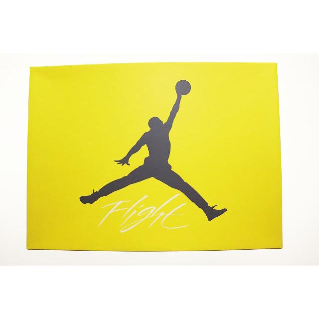 NIKE ナイキ AIR JORDAN 4 RETRO TOUR YELLOW 28cm CT8527-700 AJ4 